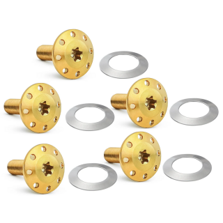 Holeshot FL Rotor Bolts Gold FLH/T24-Up