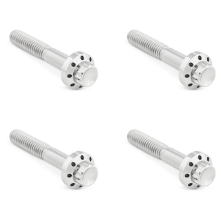 12PT Front Fender Bolts Pol. FLH/T09-Up