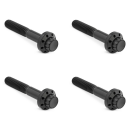 12PT Front Fender Bolts Black FLH/T09-Up