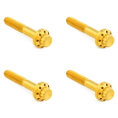 12PT Front Fender Bolts Gold FLH/T09-Up